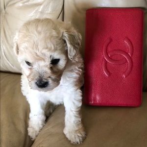 Chanel wallet